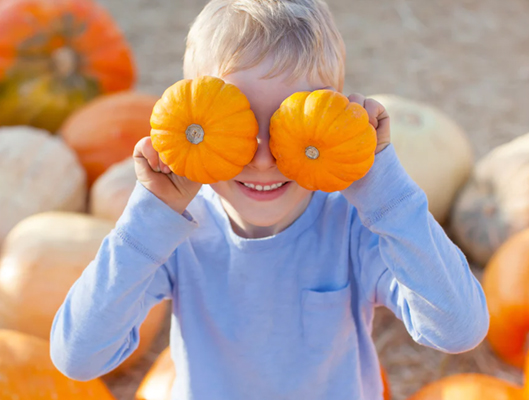 Boy Holding Two Small Pumpkins To His Eyes