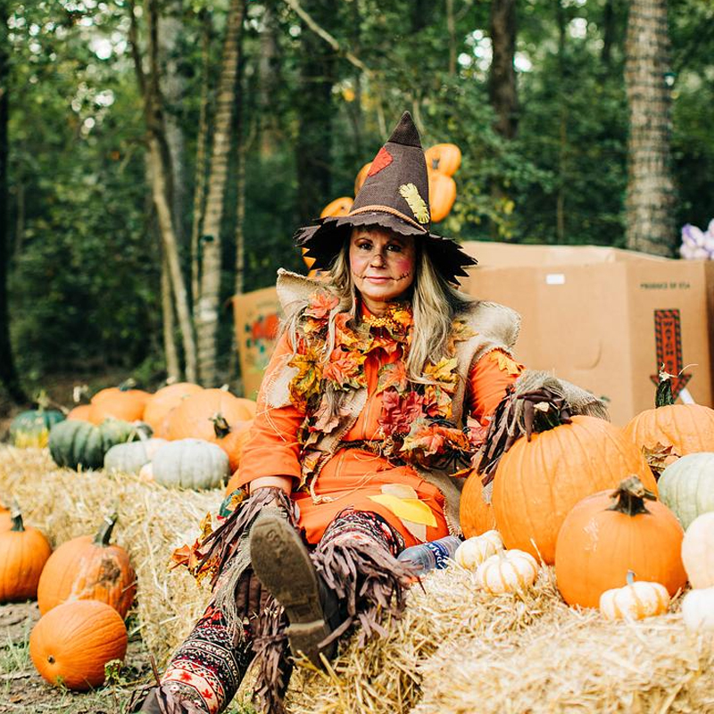 Fall Scarecrow Character